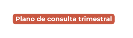 Plano de consulta trimestral