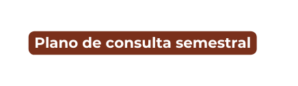 Plano de consulta semestral